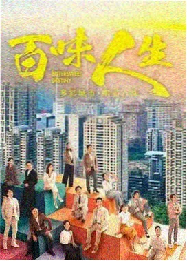 雾港档案剧集封面